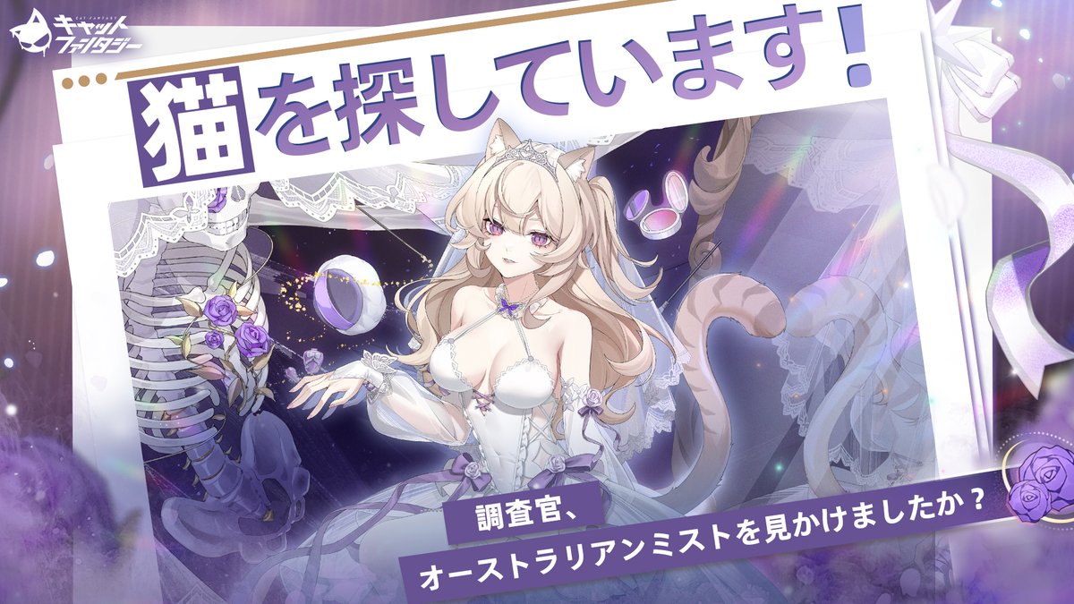 【公式】キャットファンタジー Cat Fantasy tweet media