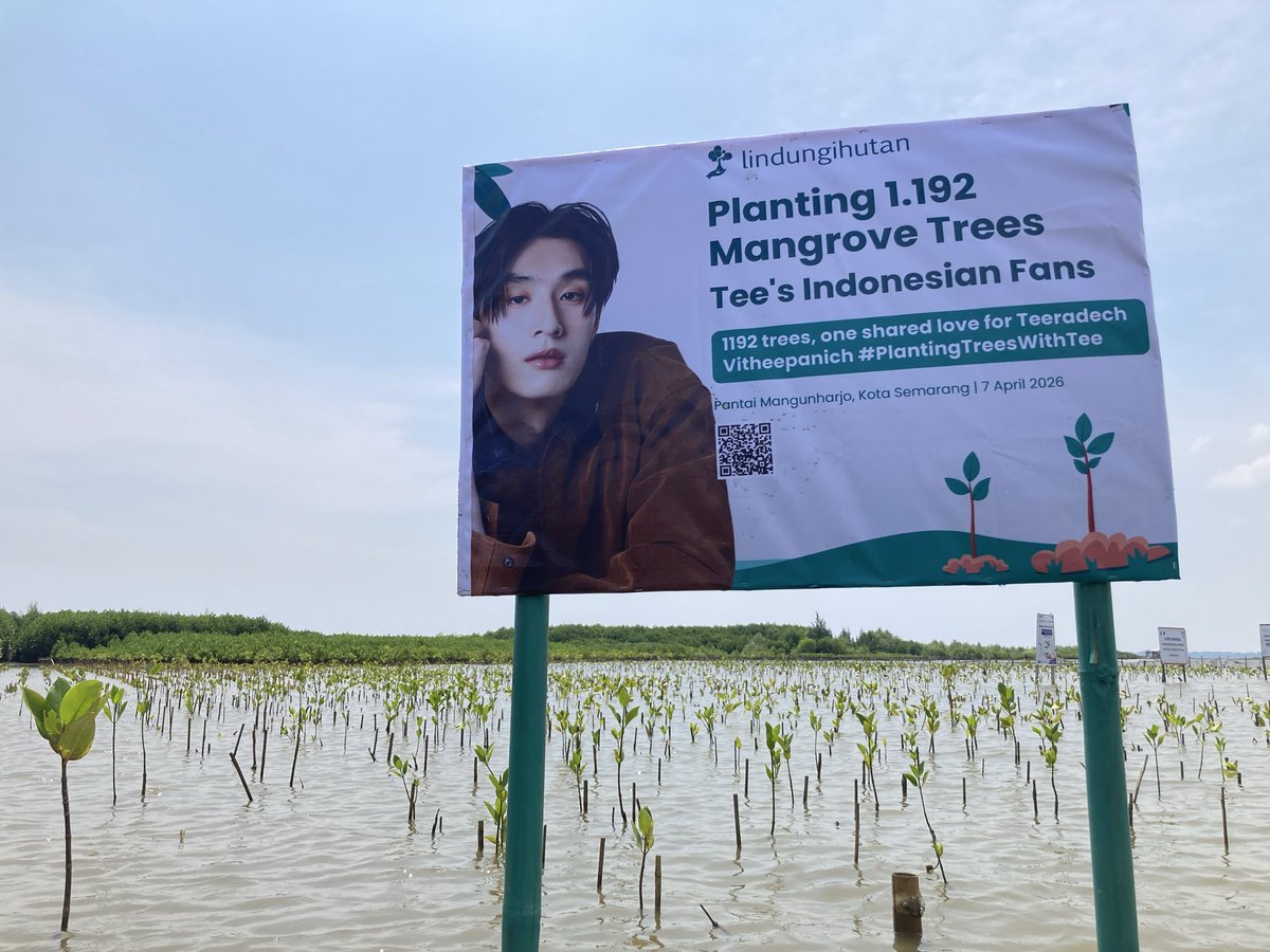 aesthaya's tweet image. For Tee’s 25th birthday, Indonesian fans planted 1,192 mangrove trees 🌱
#PlantingTreesWithTee #tee_vtp #ธีรเดช