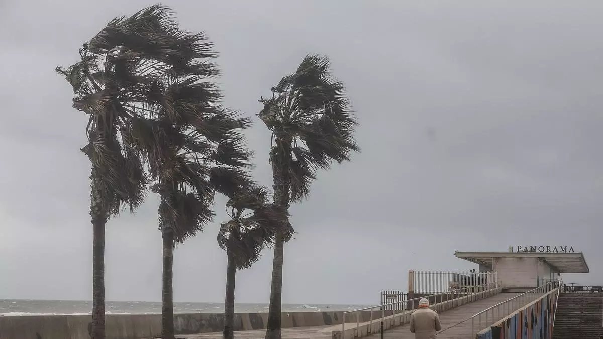 CEAM-Meteorología tweet media