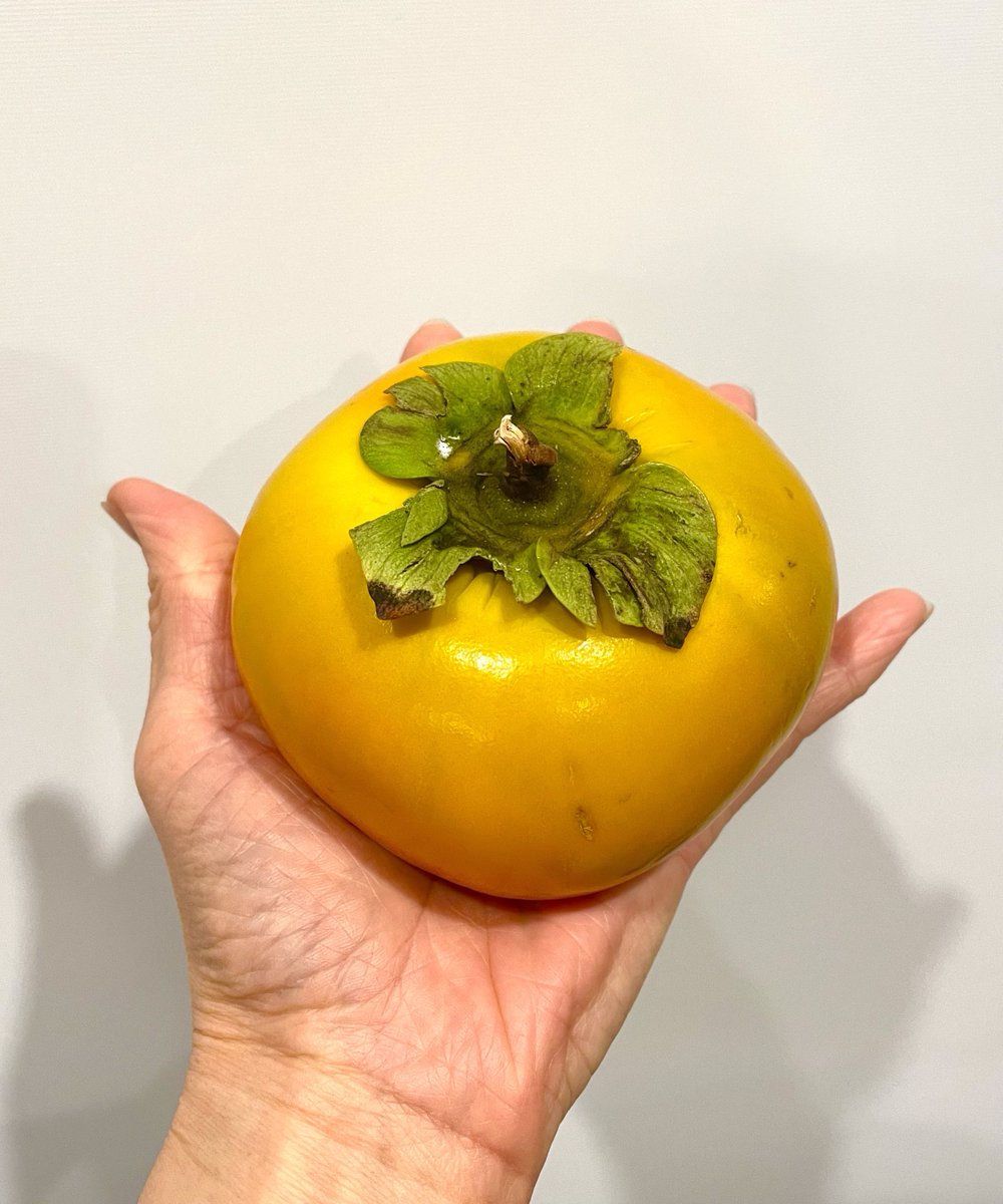 Maki🇹🇭→🇦🇺甲寅女🐯 tweet media