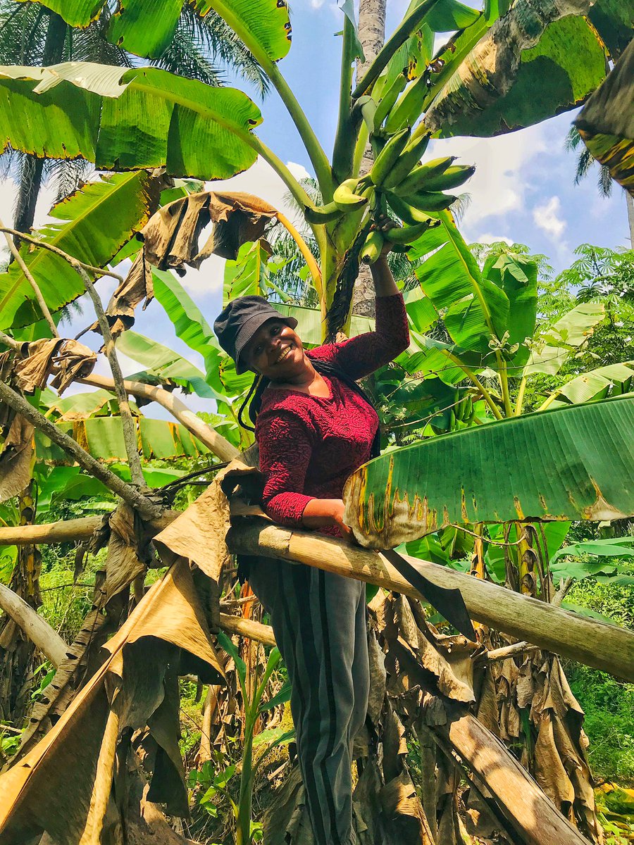 Enibo Albert tweet media