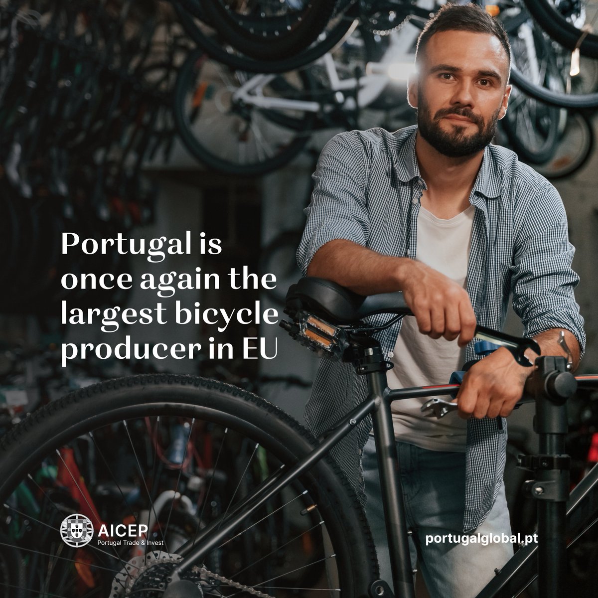 AICEP - Portuguese Trade & Investment Agency tweet media