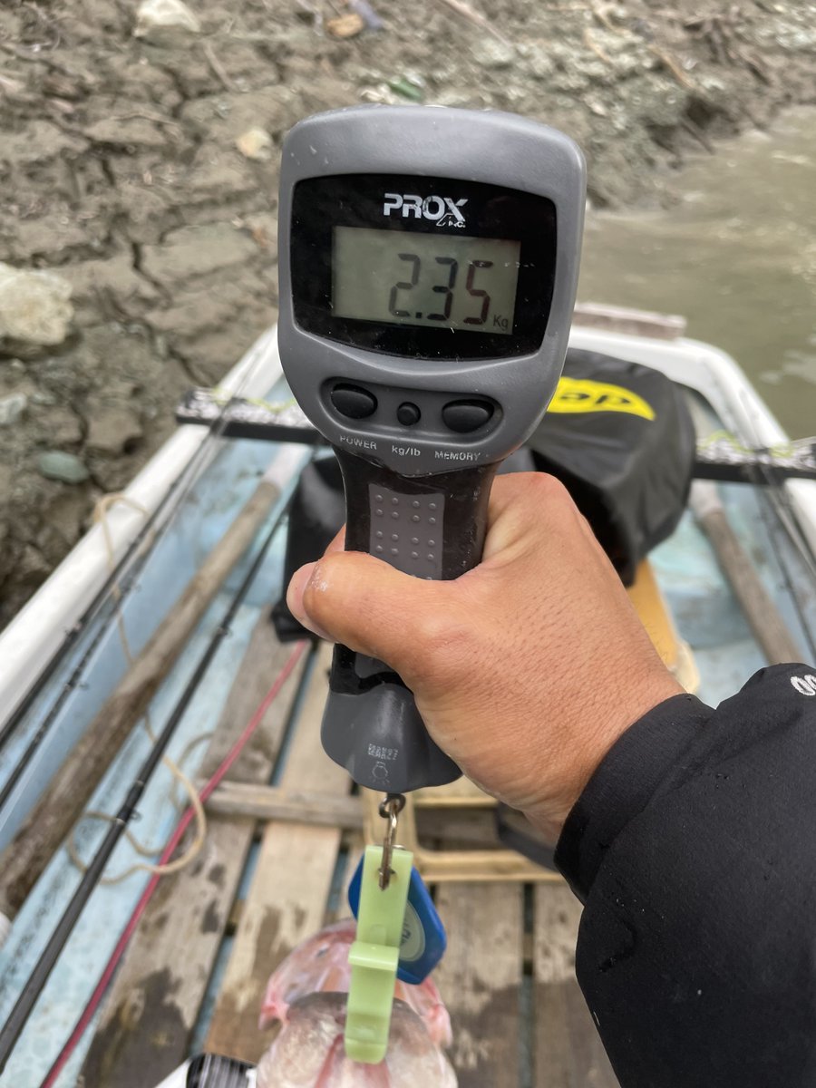 ちかちゃん tweet media