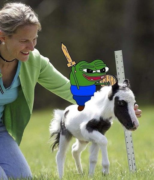 Apu on Solana tweet media