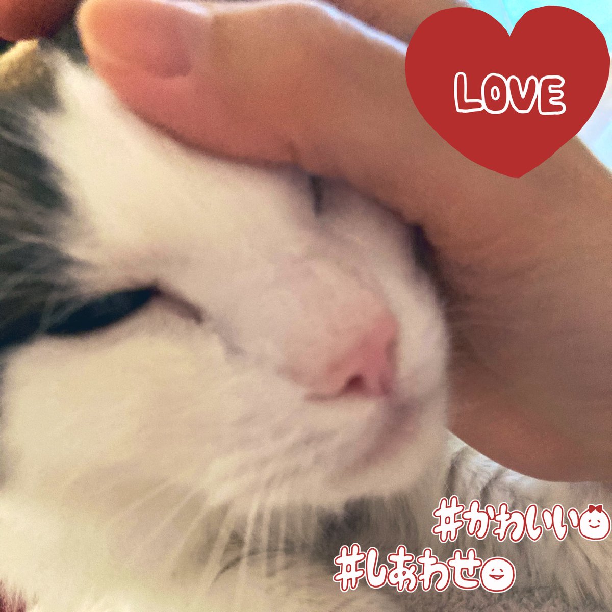 熊谷 海麗 tweet media