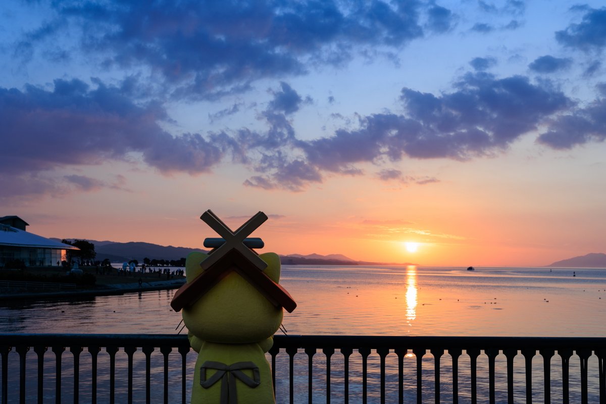 しまねっこ【公式】 tweet media