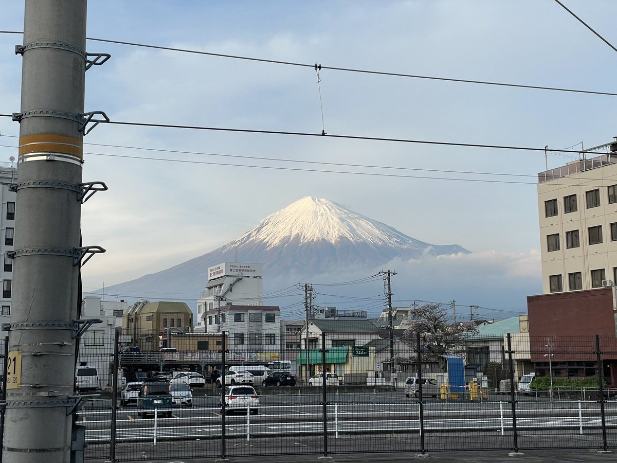 ゆりぺちぺち🏉🗻🍊🦁 tweet media