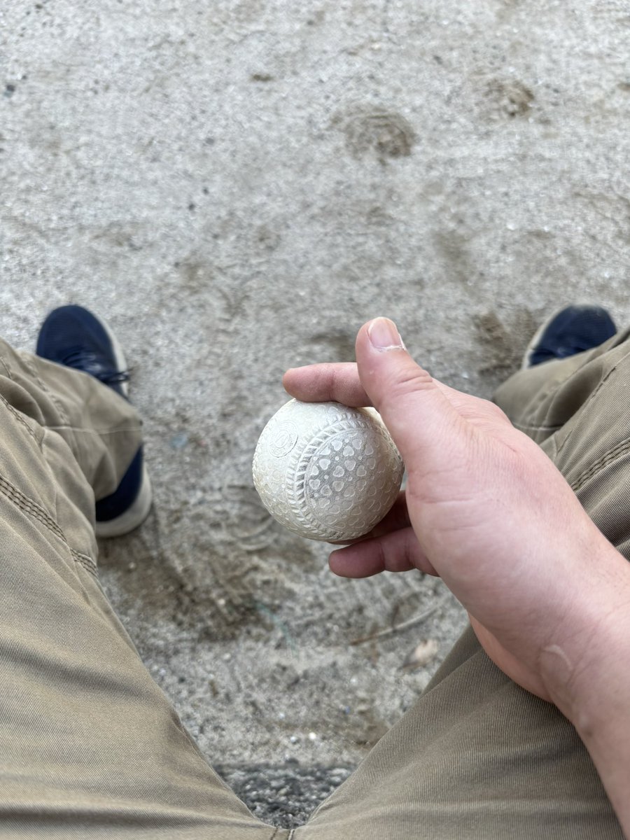 ちわいぬ tweet media