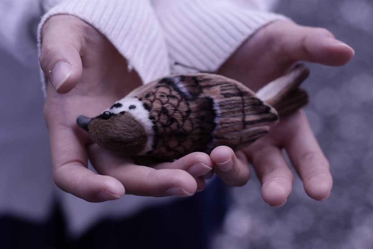 氷華❅*｡ tweet media