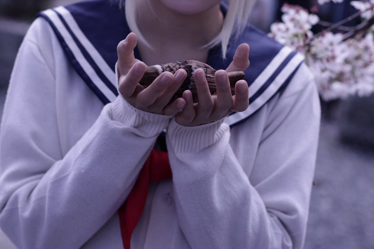 氷華❅*｡ tweet media