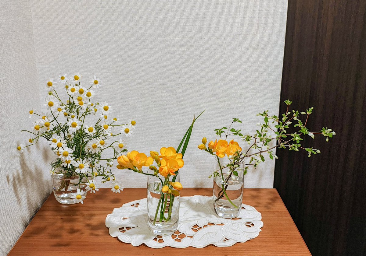 実家でもらった花を飾ってみました。
ばらばらしてしまったり難しい。
カモミール、フリージア、ドウダンツツジ。