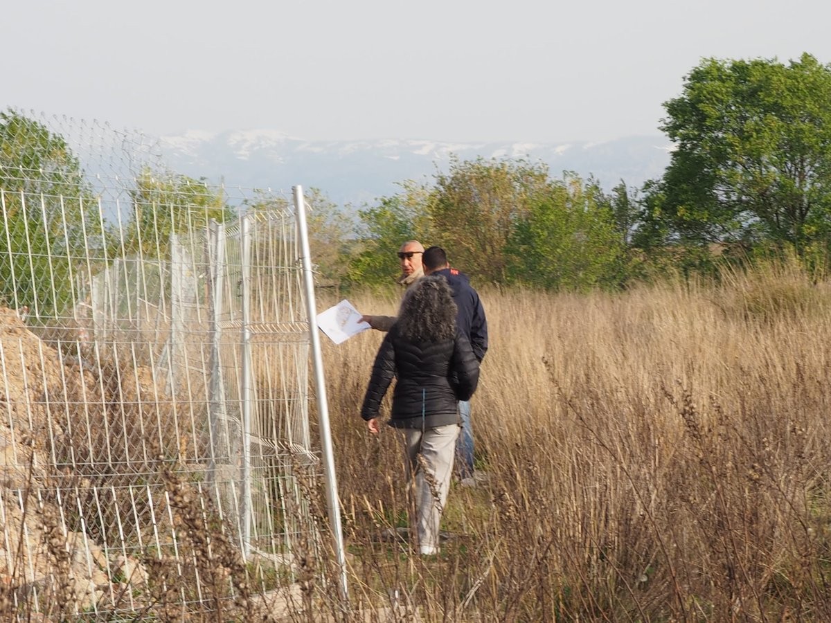 NOMEGACANTON tweet media