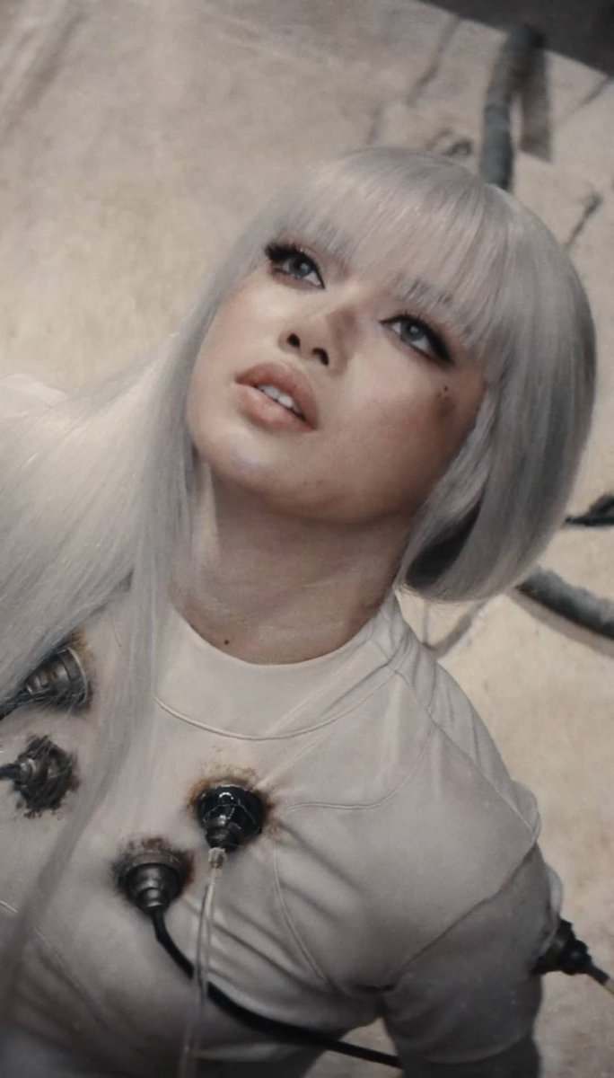 daradaily tweet media