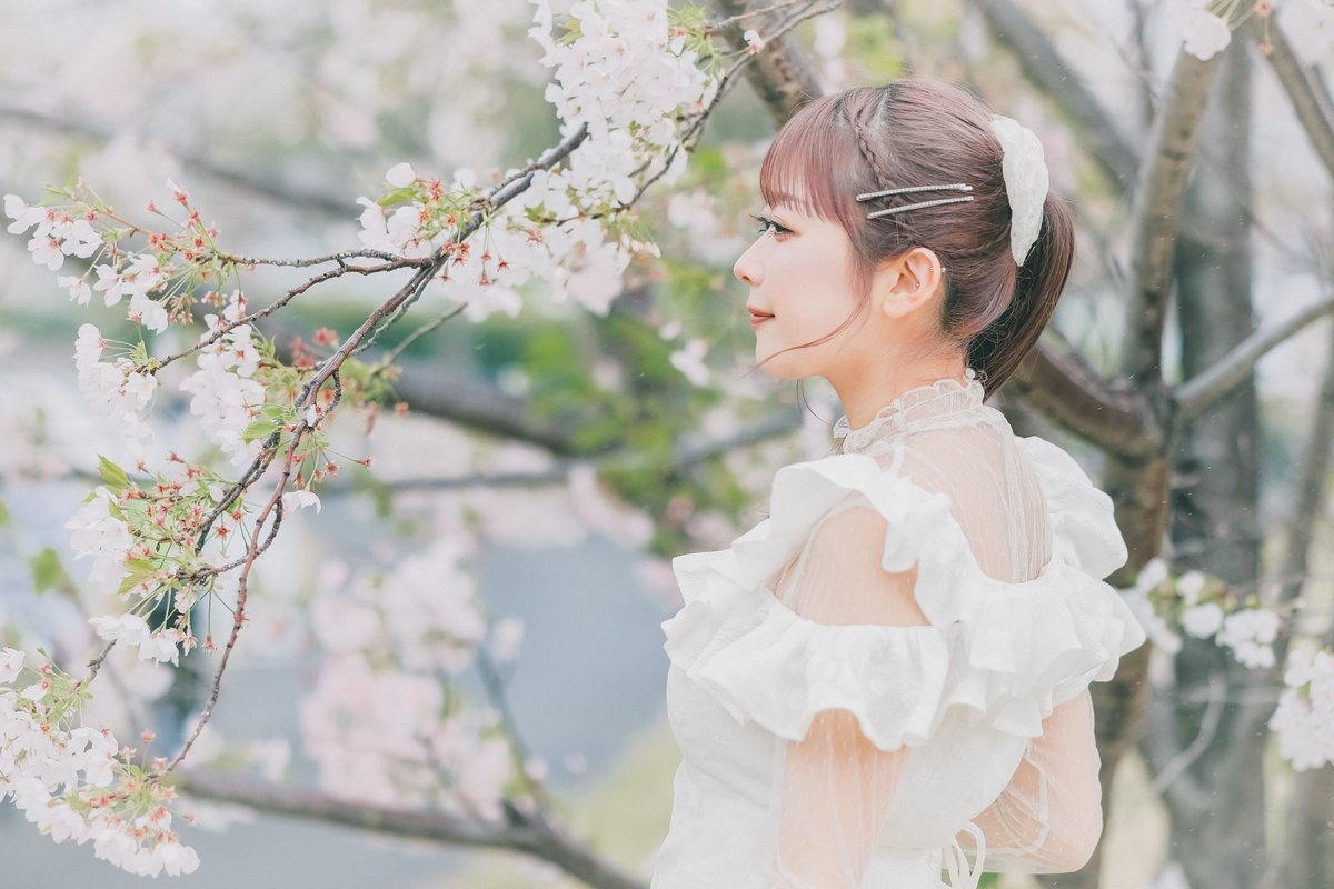 Kitchen-SinK tweet media