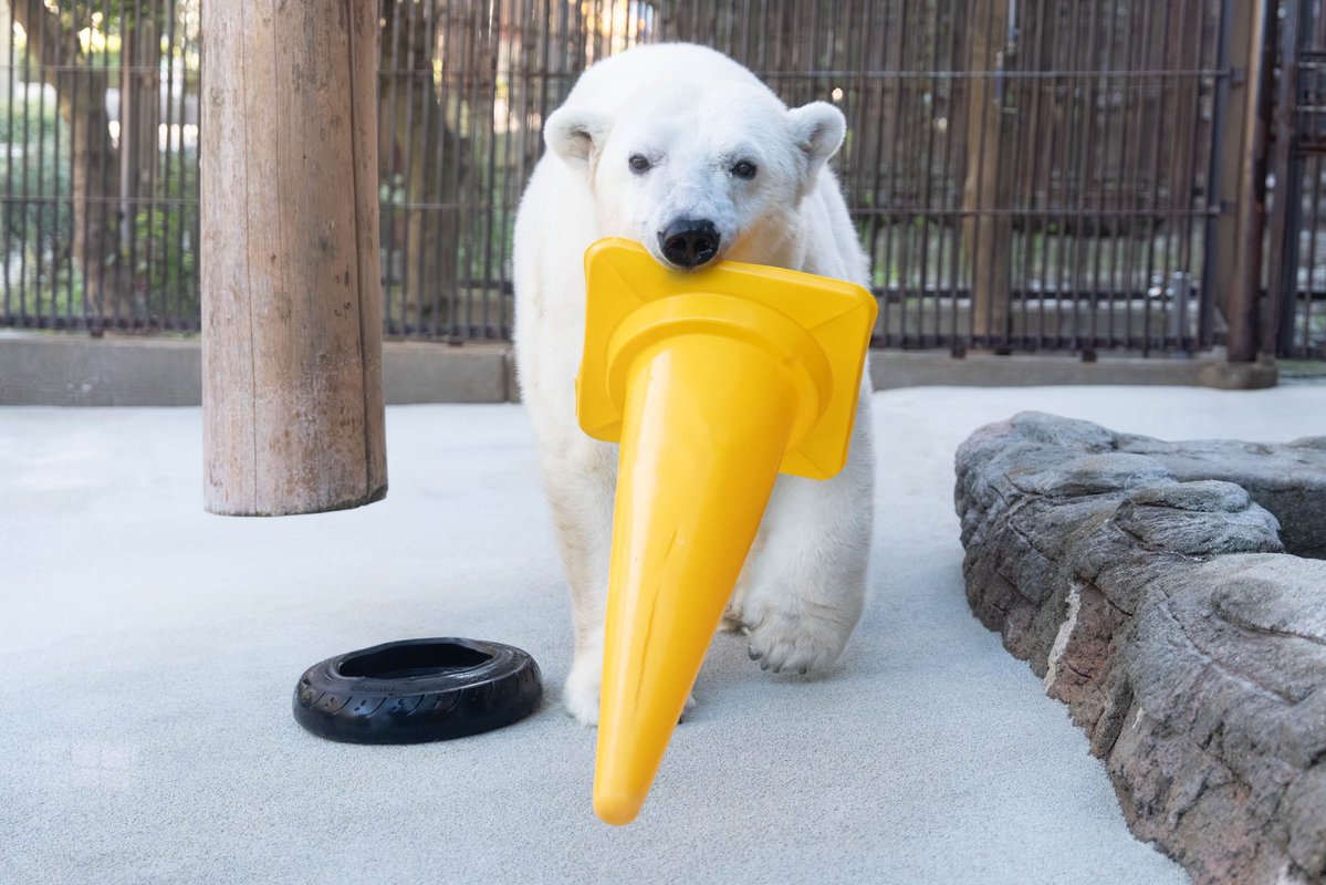 Mariners51ichiro tweet media