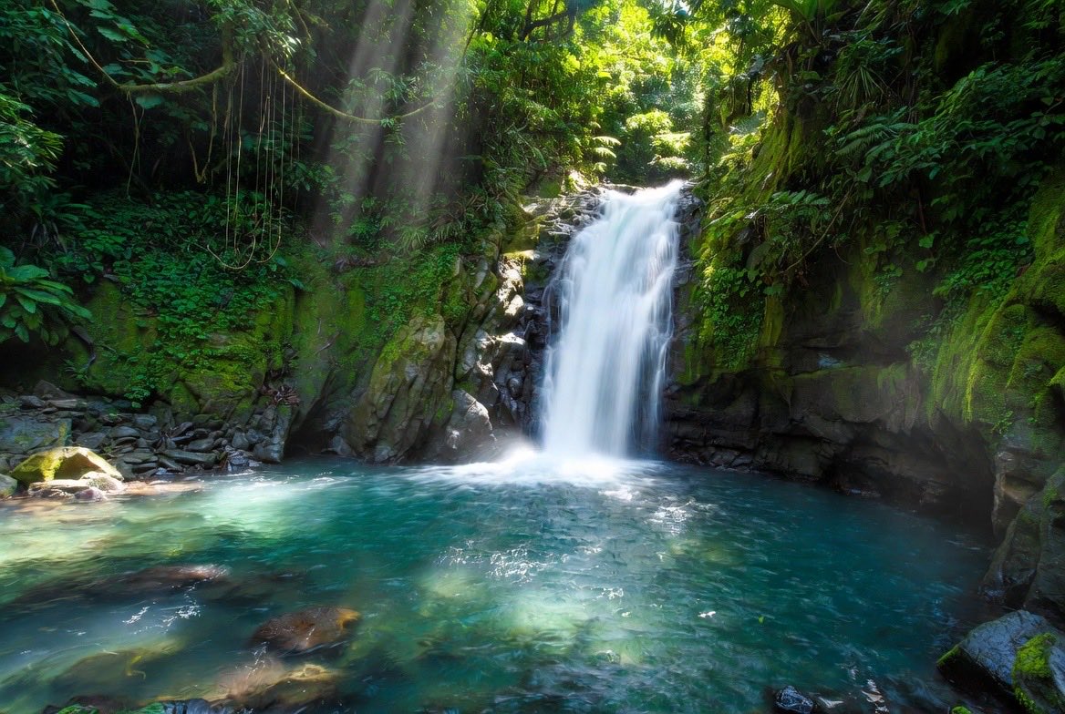 NetDnd's tweet photo. Discovered this breathtaking hidden waterfall — my favorite off-the-beaten-path spot deep in the Costa Rican jungle! 💧🌿 $AVA #TRAVALA https://t.co/e5RBwbHqGL