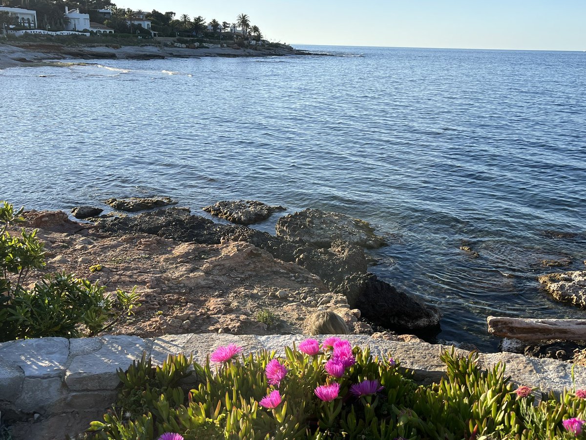 S. D. Tolson tweet media