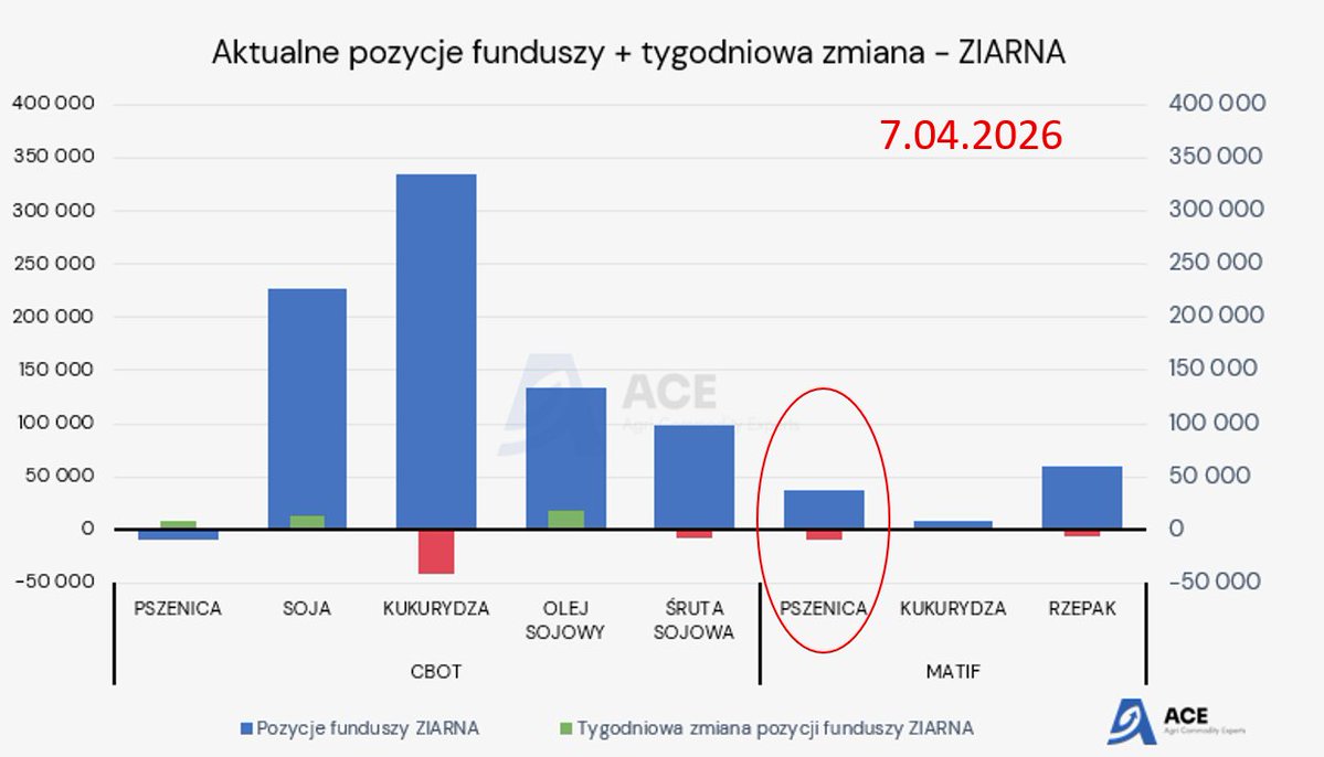 Mateusz Pałejko - Agri Commodity Experts tweet media