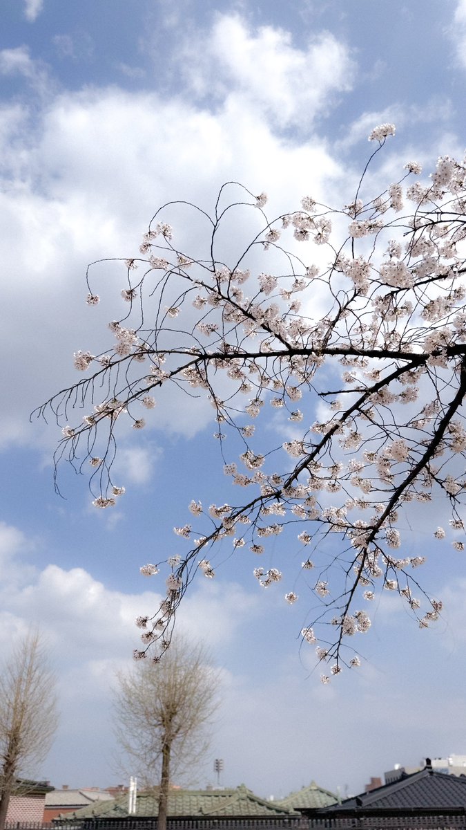 녹색광선 tweet media