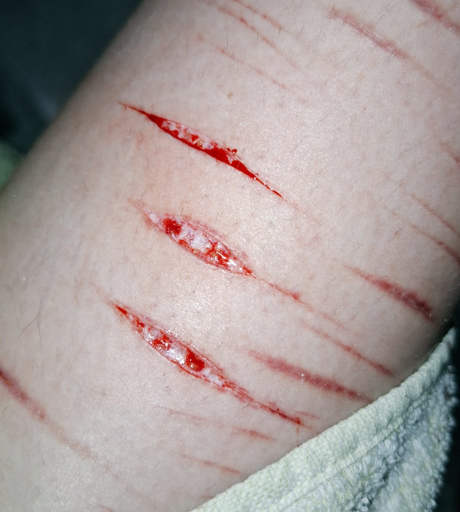 🪽.𖥔 𝑻𝒂𝒍𝒖𝒍𝒍𝒂 𝒐𝒇 𝒔𝒉𝒆𝒅𝒕𝒘𝒕 ₊˚♪ 𝄞₊˚⊹ tweet media