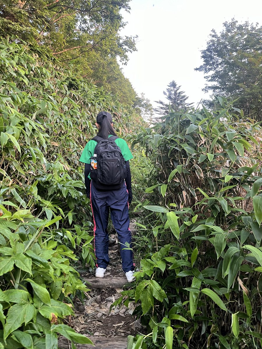 ishiduchitenba3 tweet media