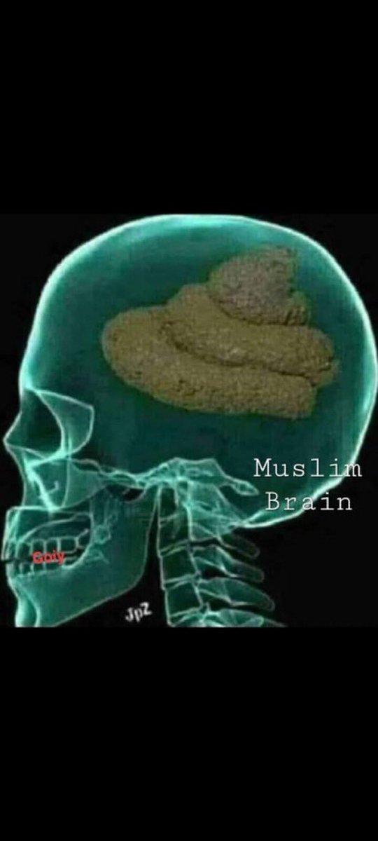 StrattonMeyer tweet media