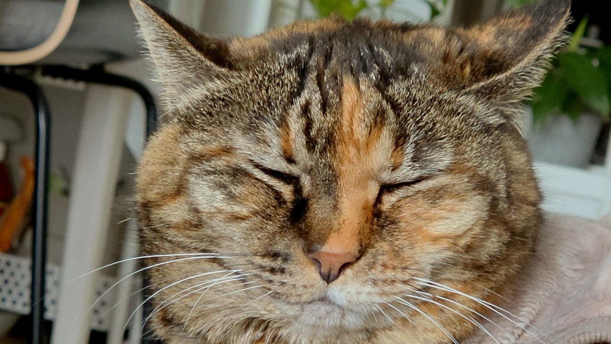 NANA@垢凍●しました tweet media