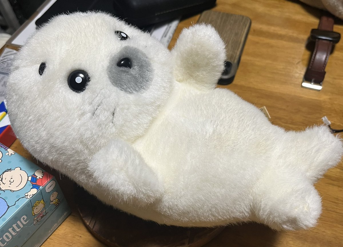 30年以上前のミルクのみゴマちゃん発見してそれから一緒に暮らしてる