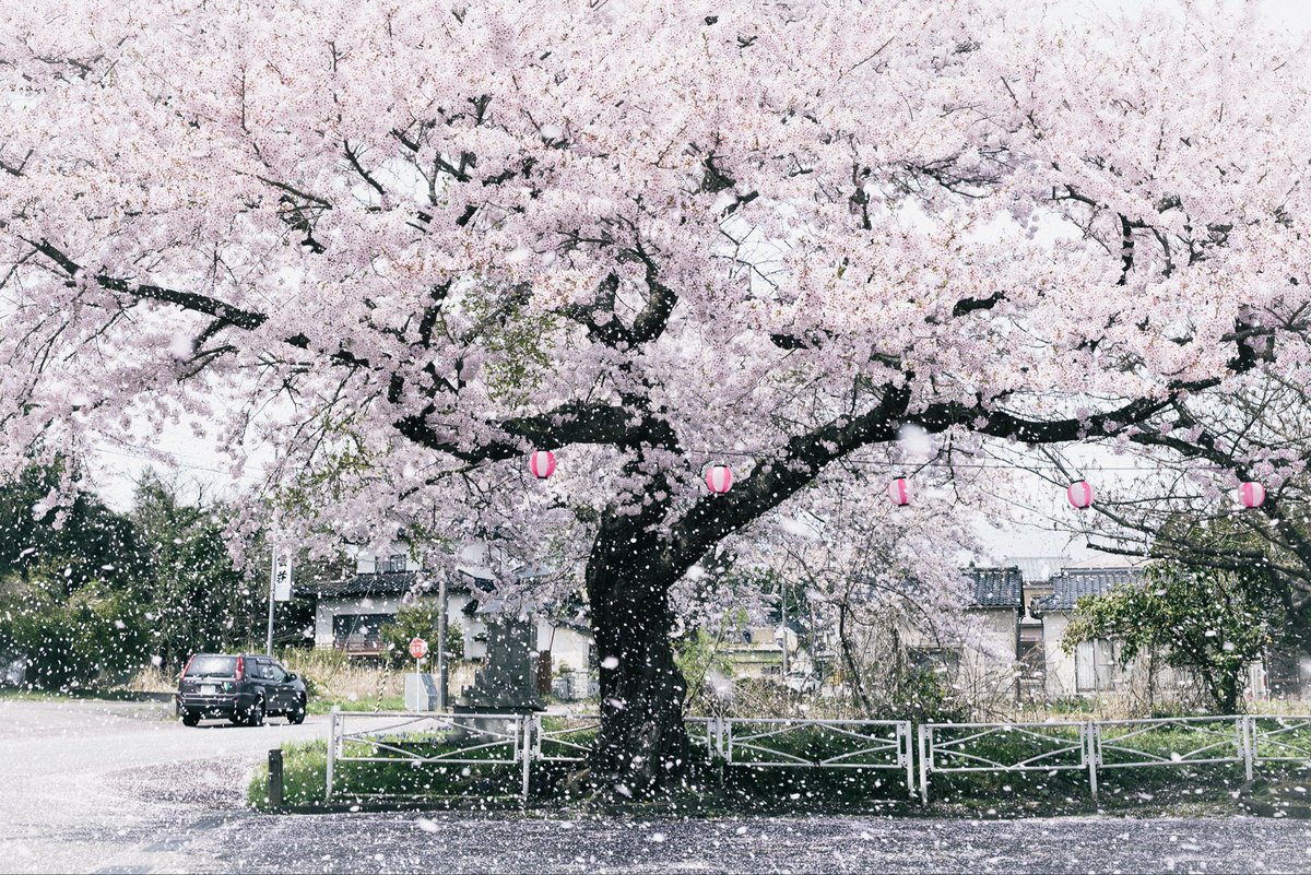 つみき　ゆう (@yuuy016) on Twitter photo 