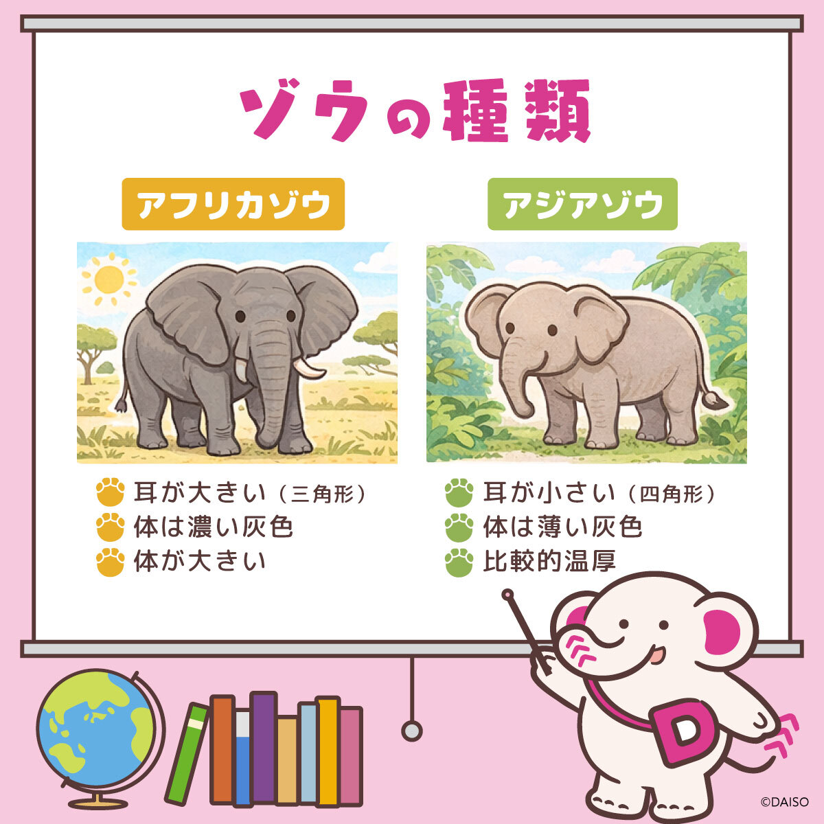 ぞうさん✨3点☆ 今日はぞうの日！ ぞうについて勉強してるぞう〜