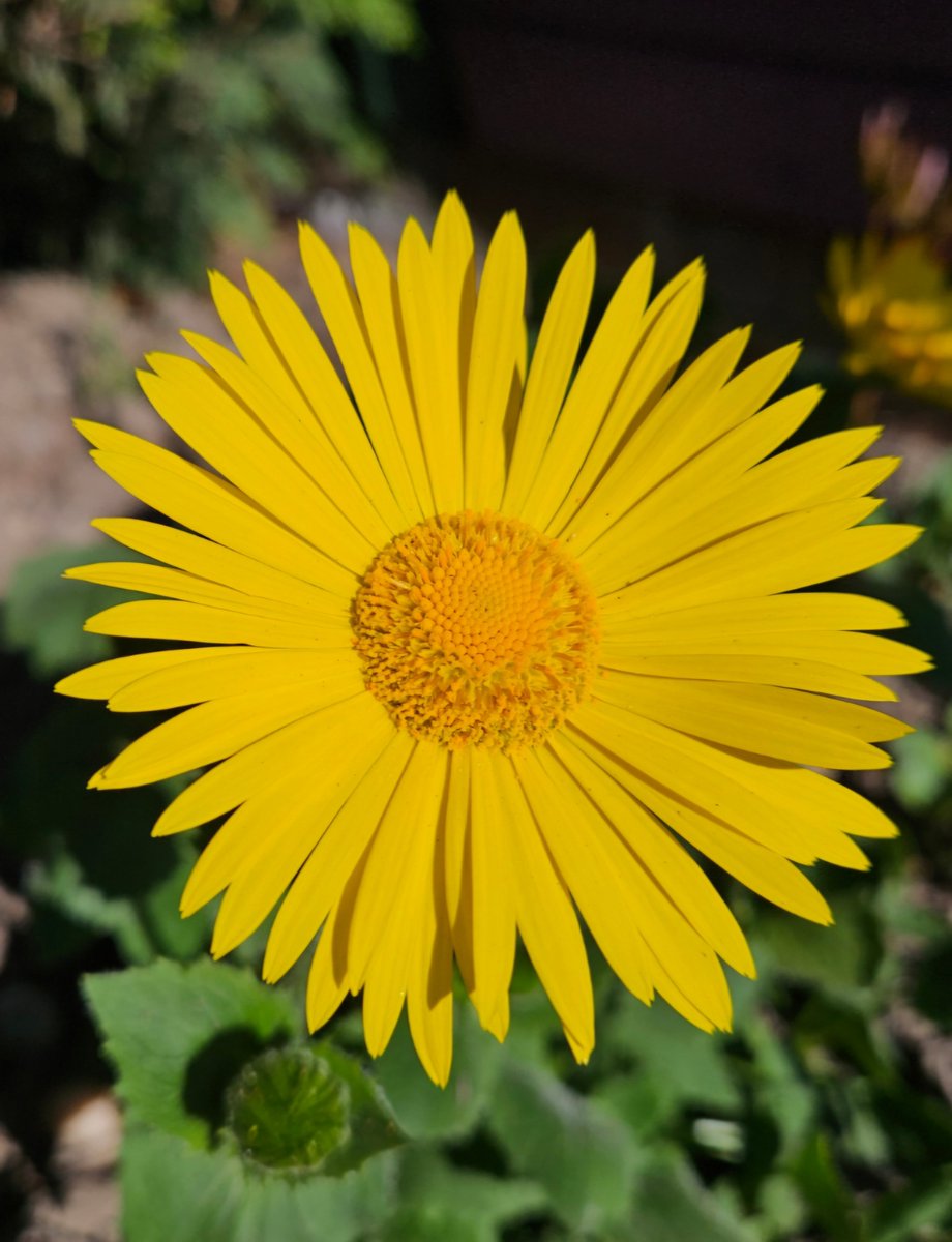 Anita💚✨️ tweet media