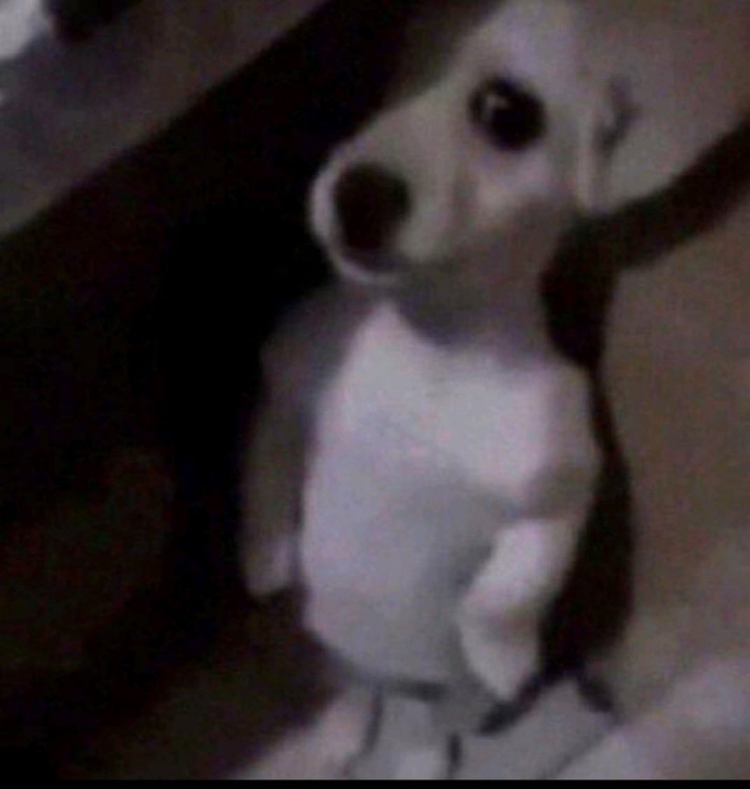 Big W!z ❤️🦅 tweet media