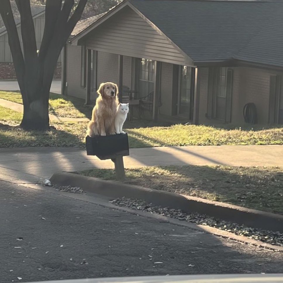 อาตี๋ tweet media