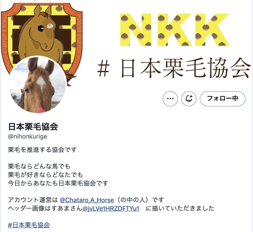 lara_fauna's tweet photo. #ララフォーナ　栗毛
日本栗毛協会さん(@nihonkurige)に加わります🐴

ディクタス
サッカーボーイ
ナリタトップロード
メジロフォーナ
と繋がった「栗毛」です。

どうぞ宜しくお願い致します。 https://t.co/VHUSuBJQSH