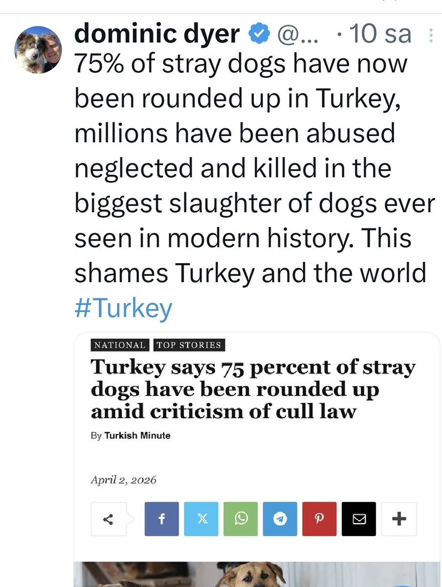 gülru tweet media