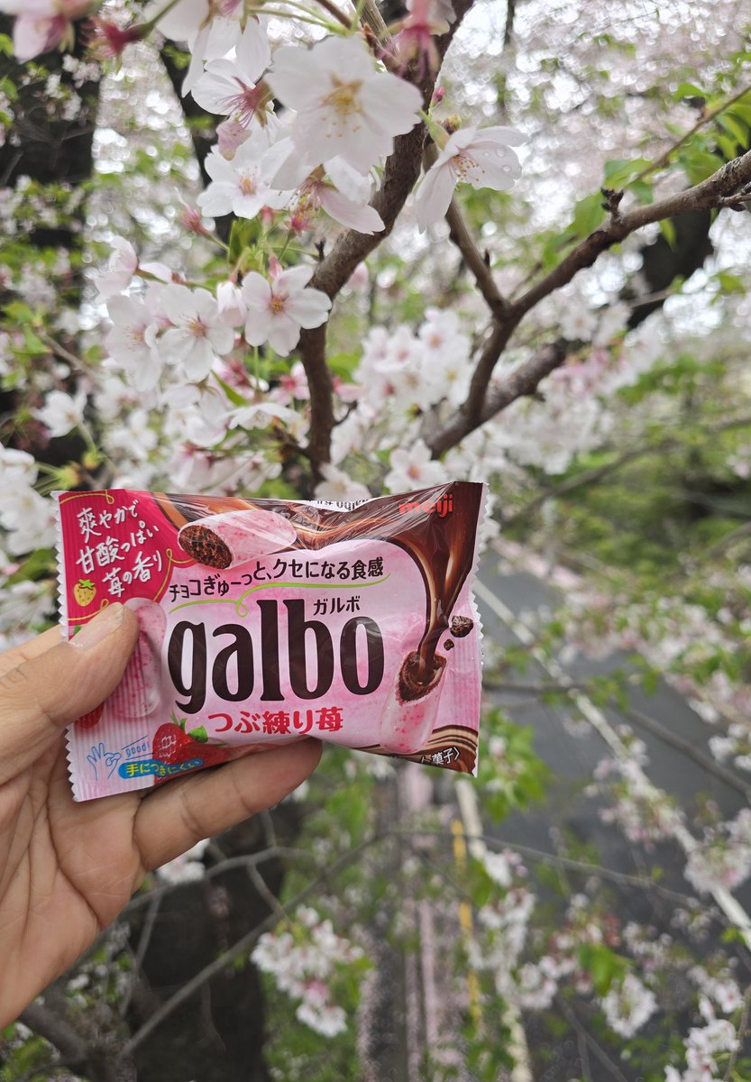 ebow0217's tweet image. 《Rainy of SAKURAZAKA🌸✨️》

仕事早めに切り上げて
寄っちゃいました😅

だいぶ散り始めて…終わりを告げてる感じでした
でもまだまだ綺麗🌸✨️
雨の桜も悪くないよ

今年は桜いっぱい見れた…そんな気するな✨️😊

#BeautifulSpring