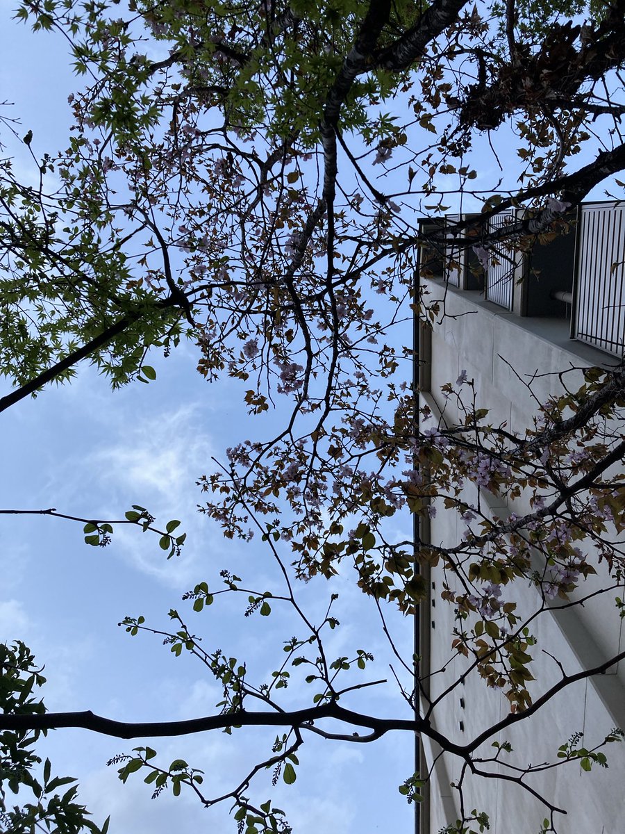 酒陶 柳野 tweet media