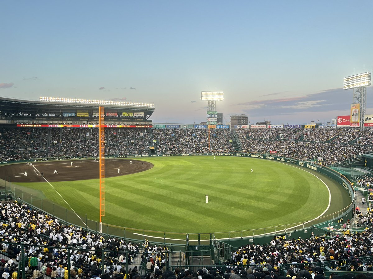 いけっち(32)🐯連覇へレッツ虎イ！2026🐯 tweet media