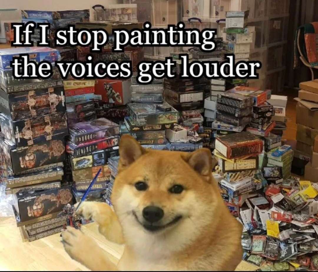 Scuff Cat tweet media