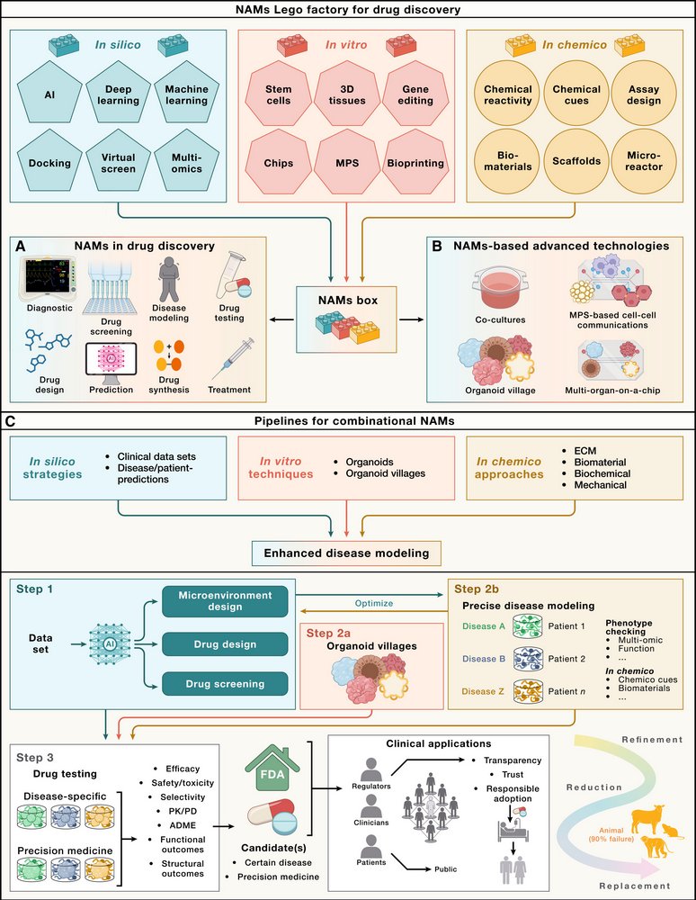ScienceofPD's tweet image. Interesting reading: "Traditional animal-based drug discovery has high failure rates, prompting the search for &amp;amp; adoption of human-centered new approach methodologies" for drug discovery (#Parkinsons  &amp;amp; #Alzheimers get mentioned)
cell.com/cell/fulltext/…