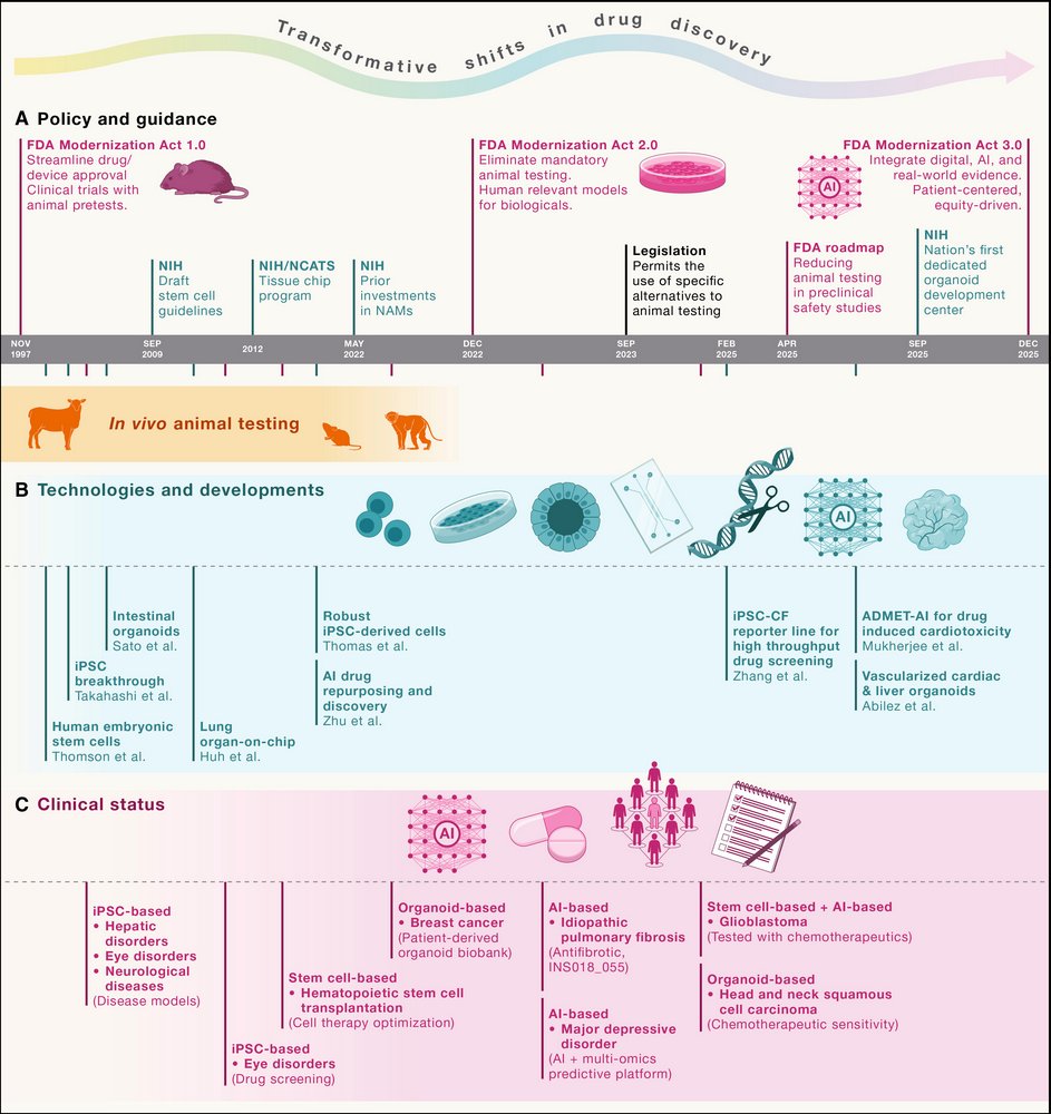 ScienceofPD's tweet image. Interesting reading: "Traditional animal-based drug discovery has high failure rates, prompting the search for &amp;amp; adoption of human-centered new approach methodologies" for drug discovery (#Parkinsons  &amp;amp; #Alzheimers get mentioned)
cell.com/cell/fulltext/…