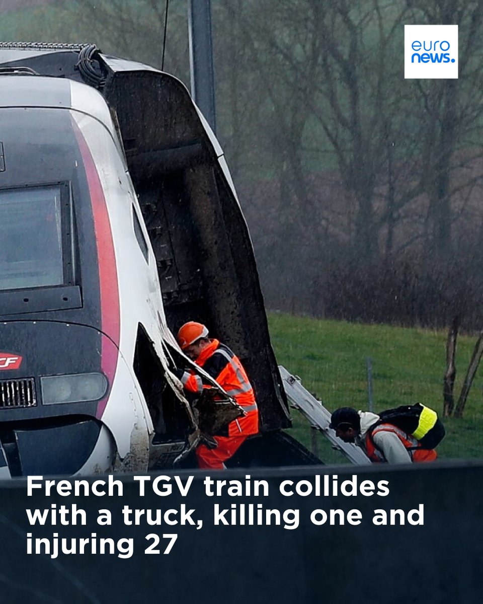 euronews tweet media