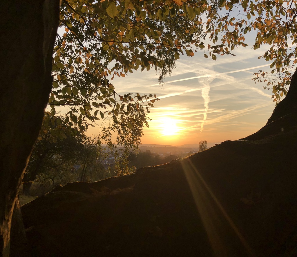 Vicky Helms tweet media