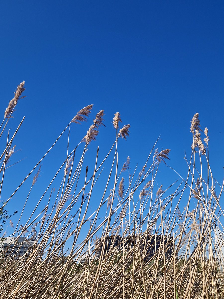 impermanence de Floues tweet media