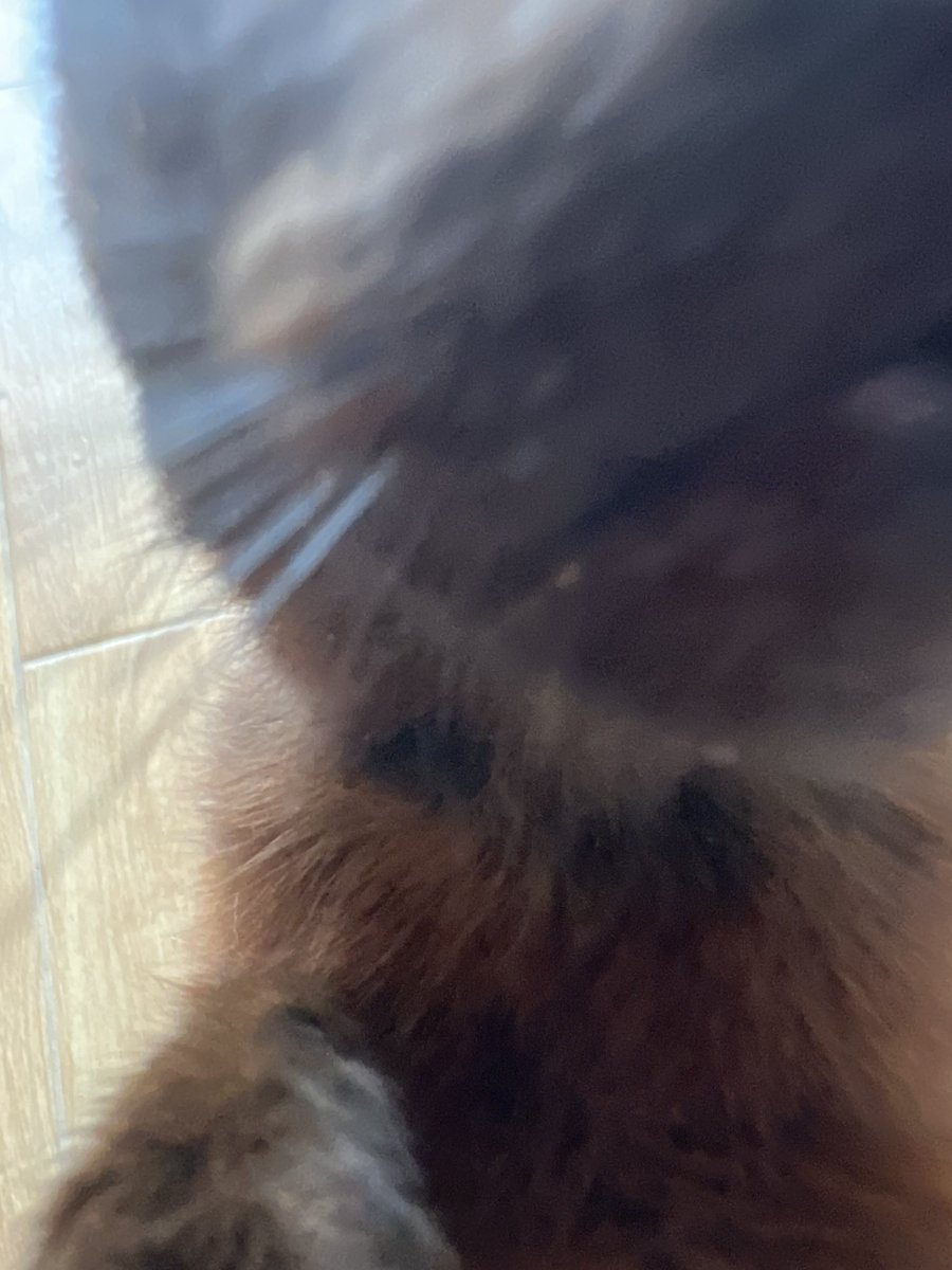 Atheist Girl tweet media