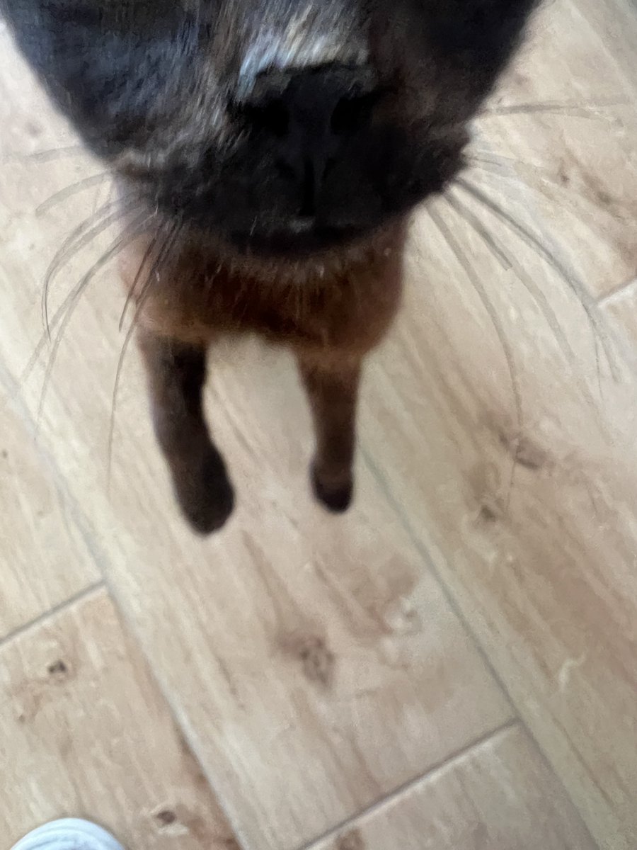 Atheist Girl tweet media