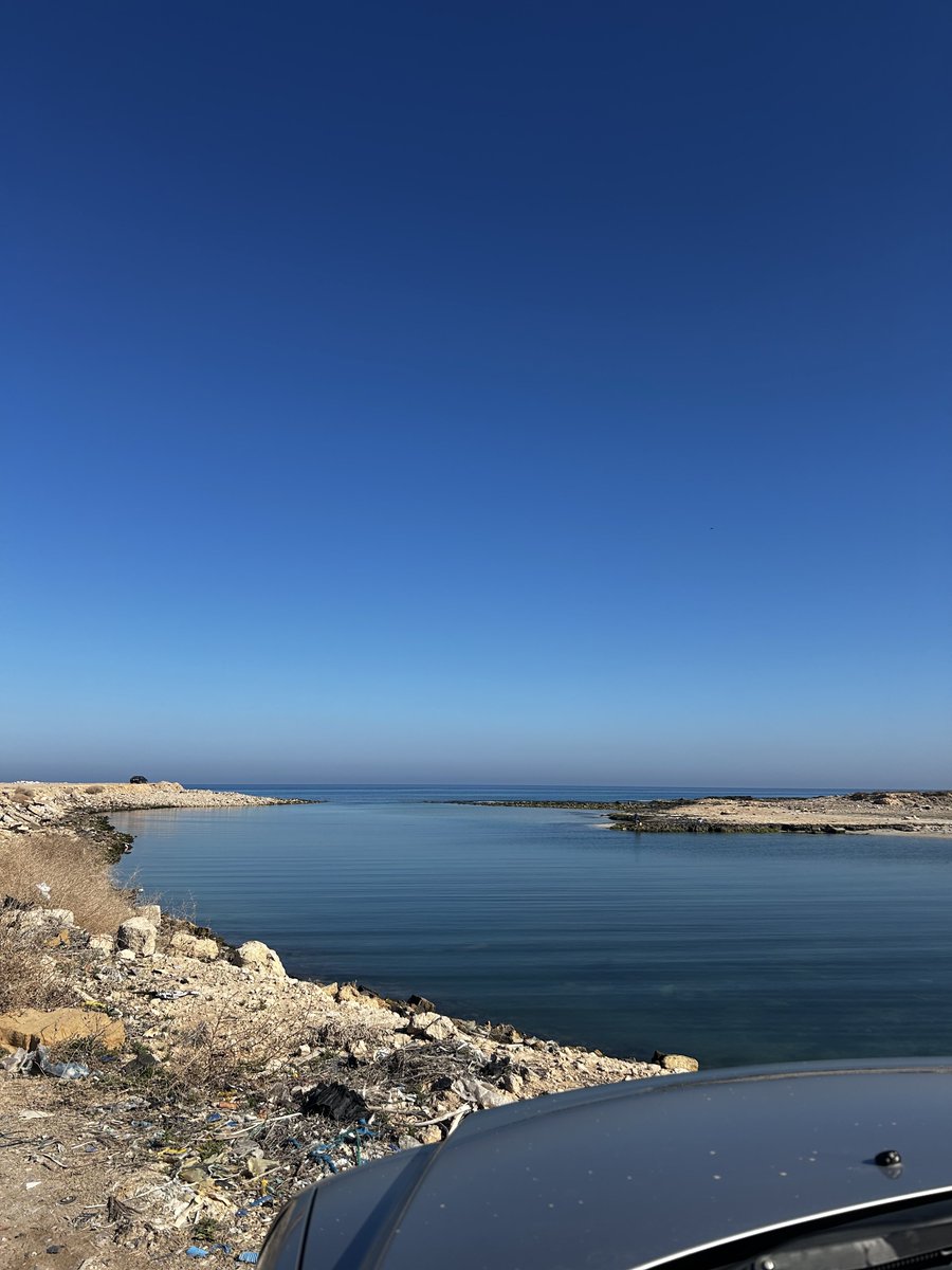 🔱NERMEN tweet media