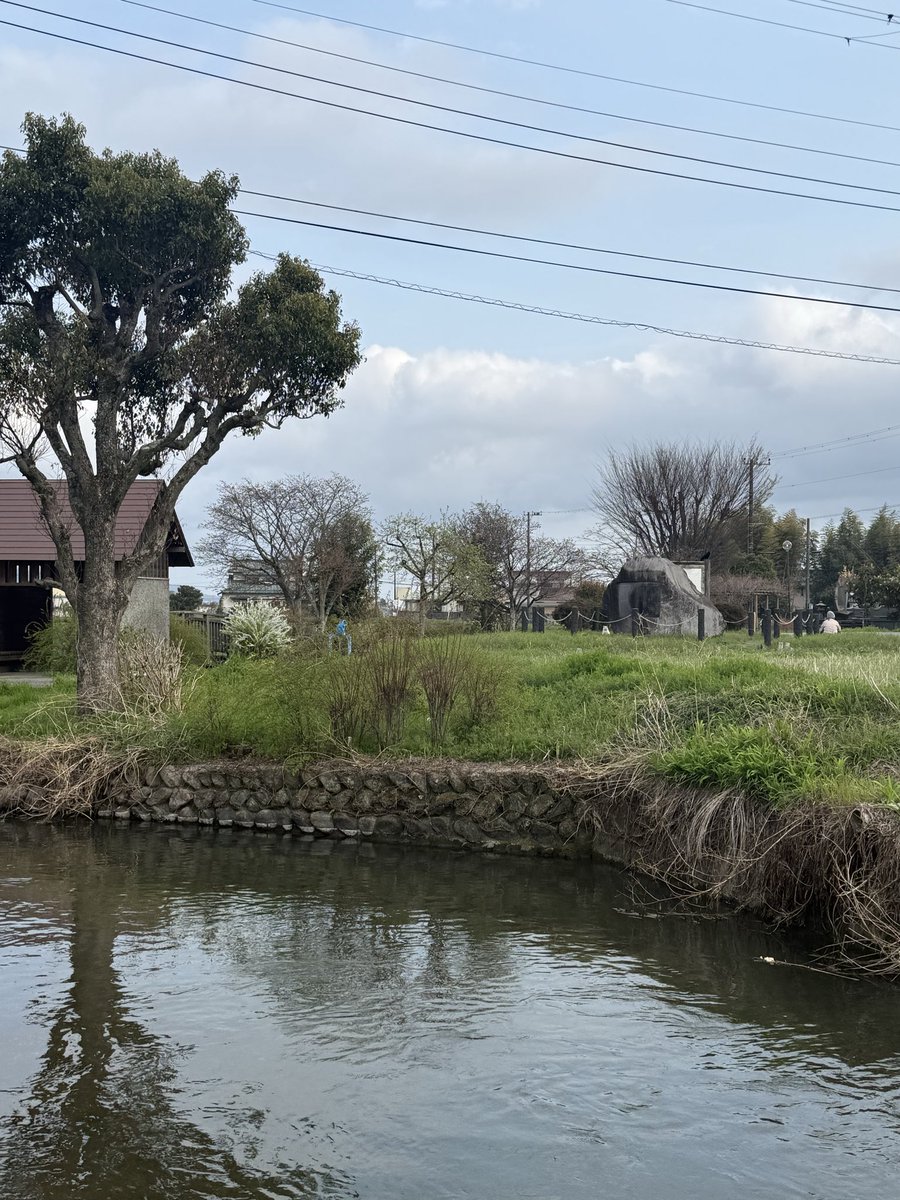 🎌🐳🐬🦀丹沢🍚鮎太郎🦐🐠🐋🎌 tweet media