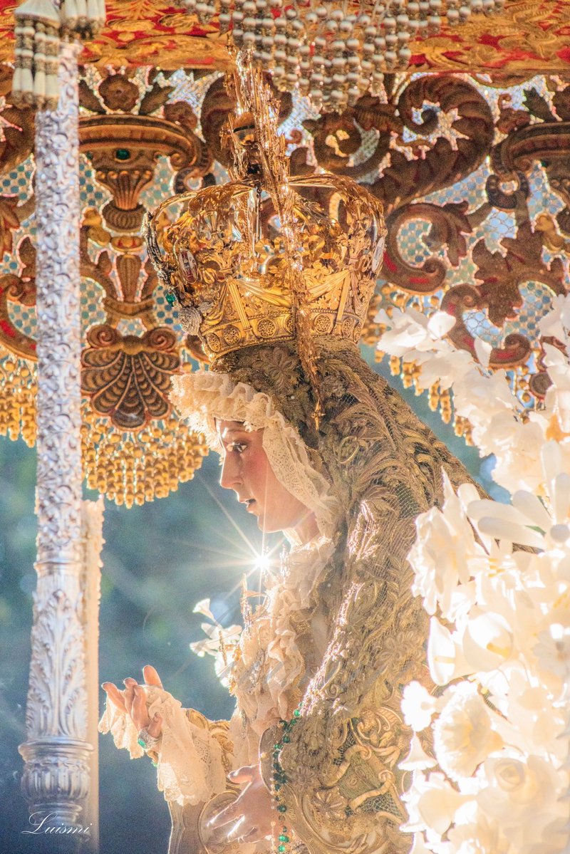 Luismi Martin tweet media