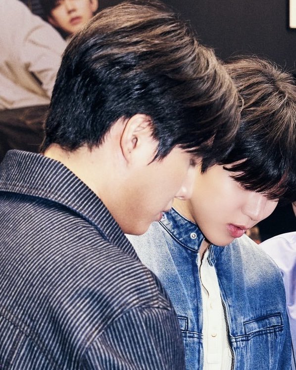 저화질의 독앤캣 tweet media